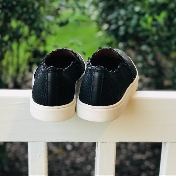 5⭐️rated 1 left💥NIB FRYE Woven Slip-On Sneaker - Picture 5 of 8